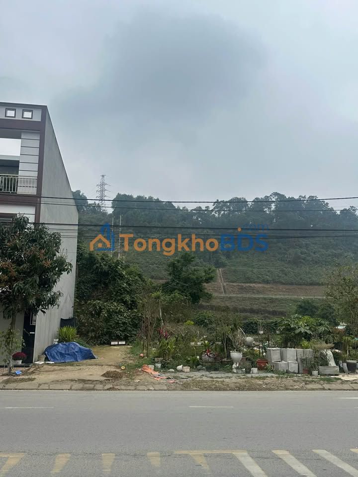 Bán Đất Vàng Trần Phú Lào Cai 100m² - Kinh Doanh Đắc Lợi, Sổ Đỏ Chính Chủ