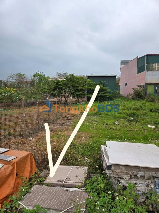 Đất Tái Định Cư Liên Châu 102.5m² - Sổ Đỏ Chính Chủ, Gần Chợ, Trường Học