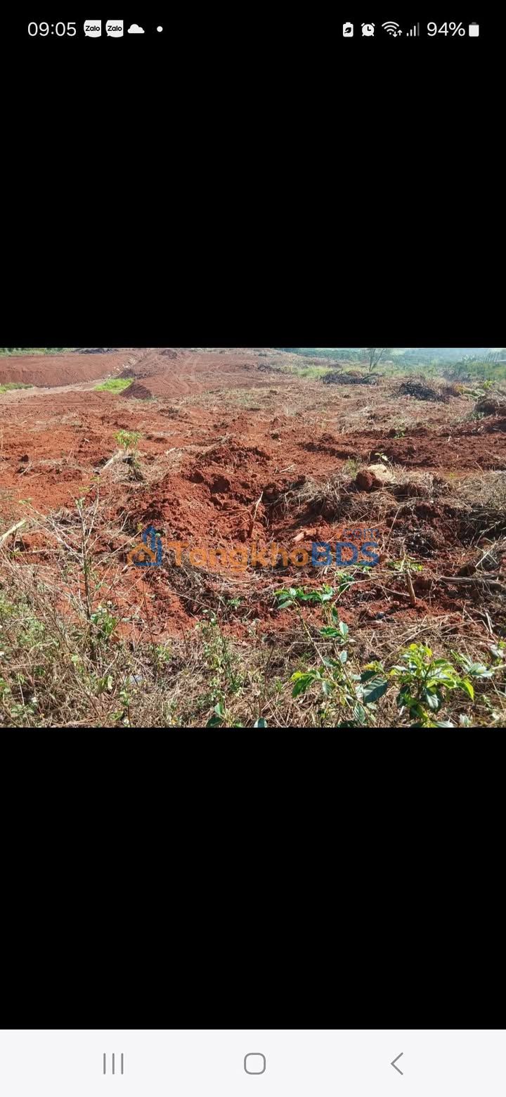 Đất nông nghiệp Tân Văn Lâm Hà 4ha 320 triệu - Đầu tư dài hạn