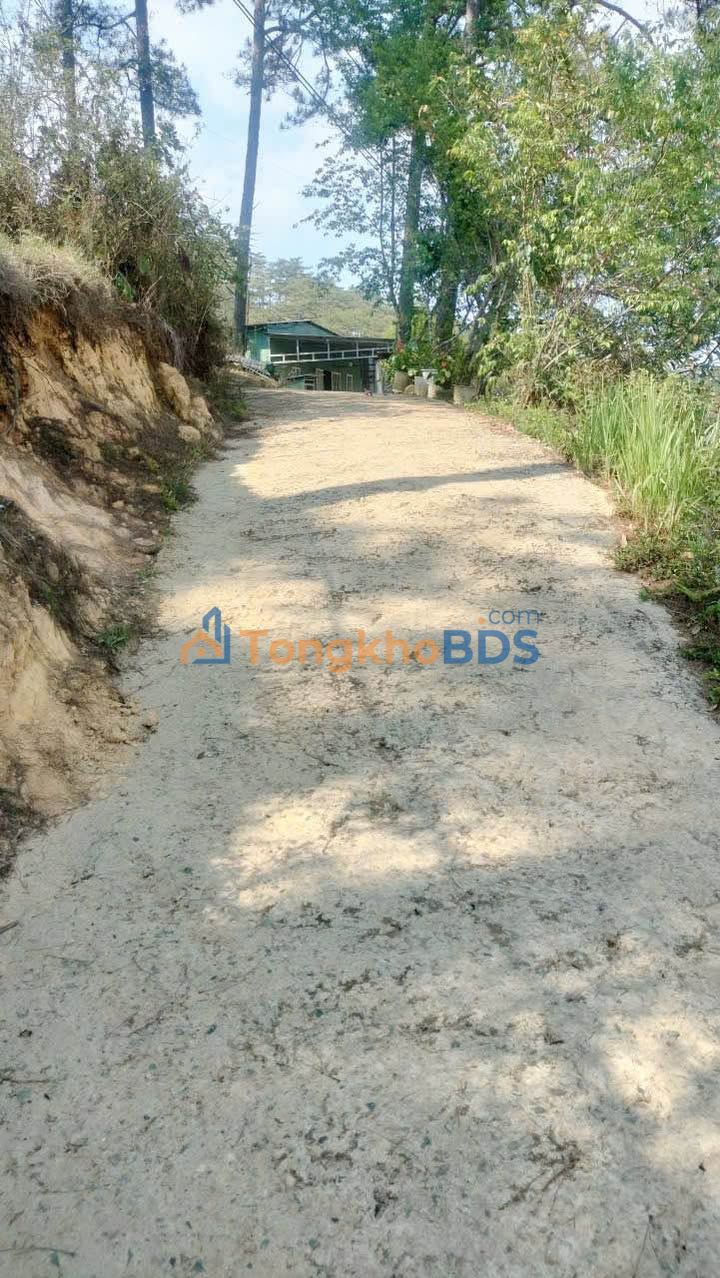 Bán đất nông nghiệp 240m² Đà Lạt - Đường ô tô, view đẹp, giá 400 triệu