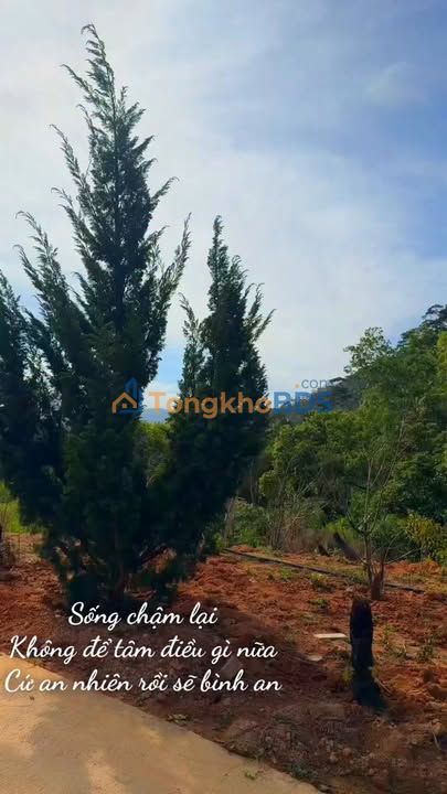 Bán Đất Nghỉ Dưỡng 8000m² Trạm Hành, Đà Lạt - Sẵn Nhà, Vườn, Hồ Cá