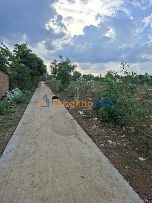 Đất Vườn 2600m² Mặt Tiền QL26 Ea Kar, Đắk Lắk - Giá Đầu Tư 3.2 Tỷ
