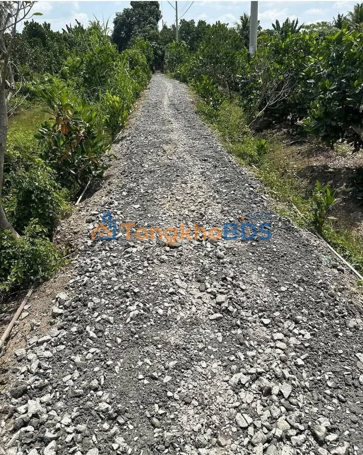 Đất nền Cái Bè 7.000m² 290tr/công - Tiềm năng tăng giá