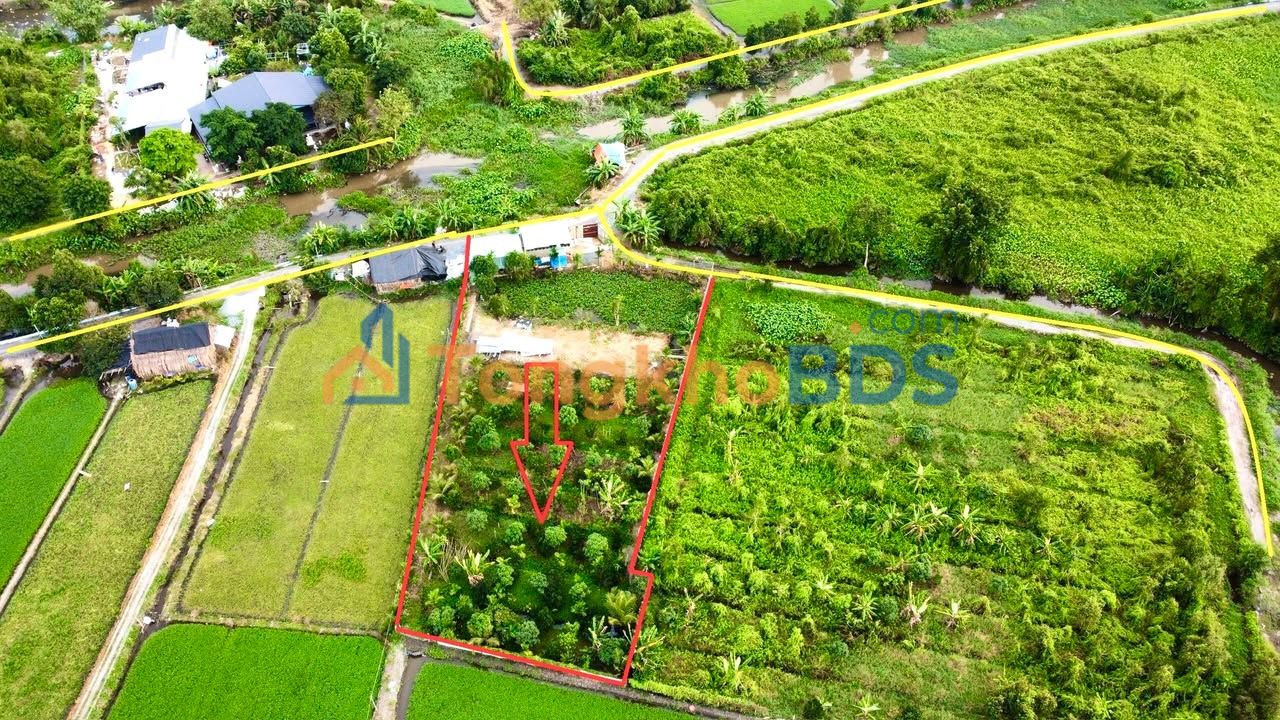 Farm Bình Mỹ Củ Chi 1.700m² 6.05 tỷ – Nghỉ dưỡng đáng xem