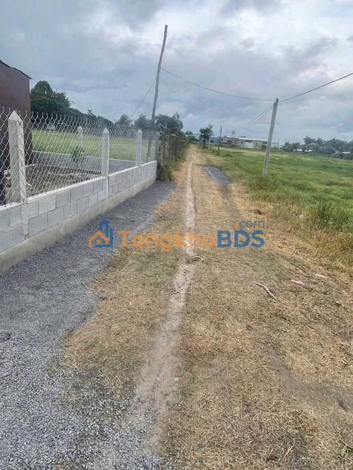 Đất vườn Tân Thông Hội 1.300m² 1,65 tỷ - Tiềm năng tăng giá