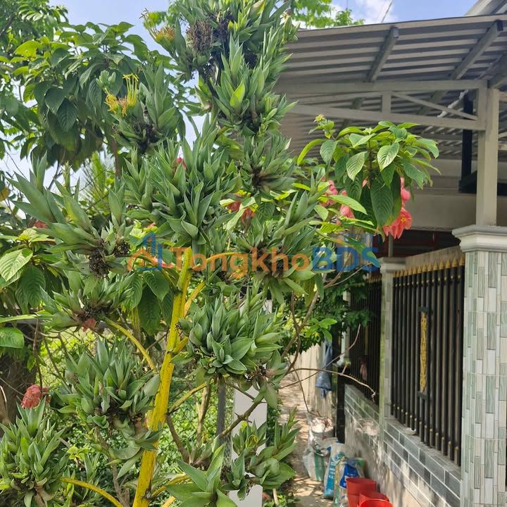 Bán Nền Thổ Cư 105m² Mỹ Khánh, Phong Điền - Sổ Hồng Sẵn Sàng