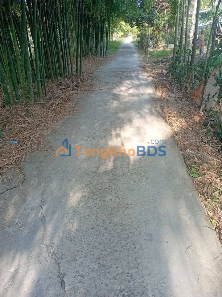 Đất nền 5200m² Cần Thơ - Mặt tiền rộng, sổ hồng thổ cư, giá 1.05 tỷ