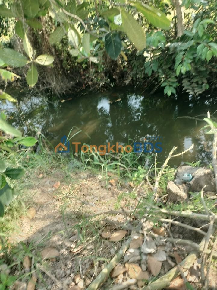 Bán Gấp 5000m² Đất Vườn Xã Mỹ Trung Cái Bè - Mặt Tiền Kênh 50m