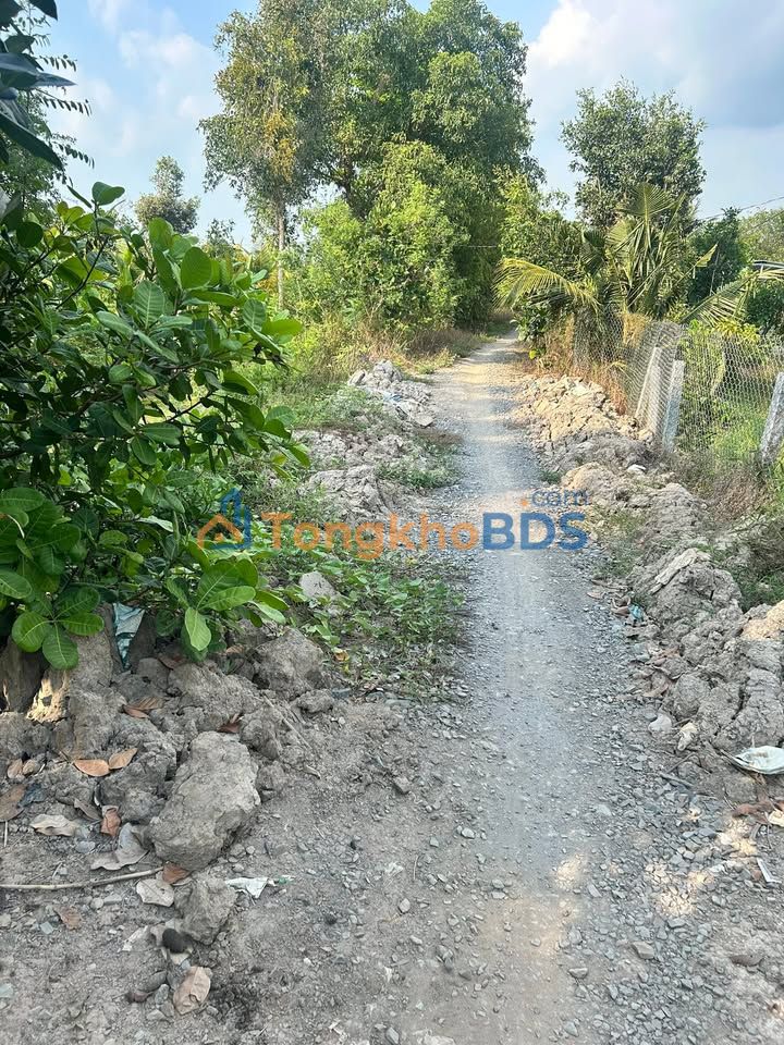 Cho thuê Farm Sầu Riêng & Mít 12.000m² tại Mỹ Thiện, Cái Bè, Tiền Giang - Hợp đồng dài hạn