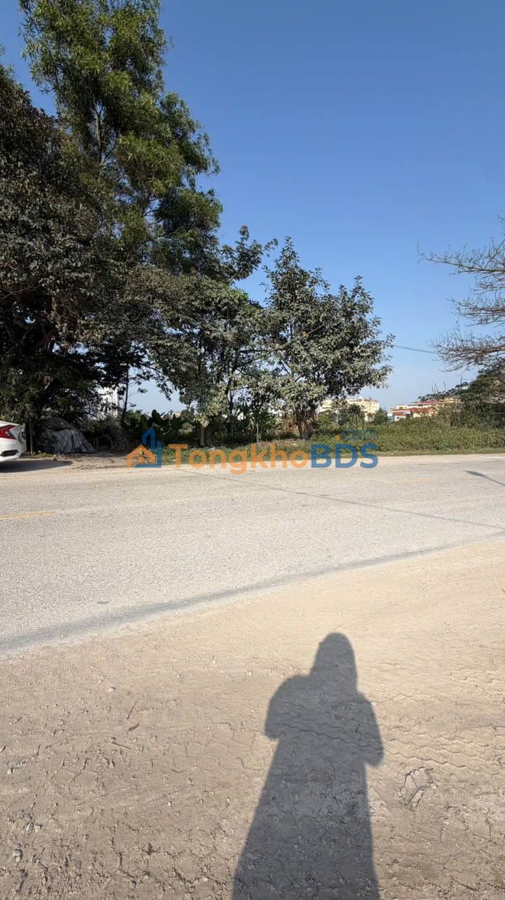 Bán Đất Vàng Đường Trịnh Huy Quang, TP Thanh Hóa - 125m² - 2.2 Tỷ