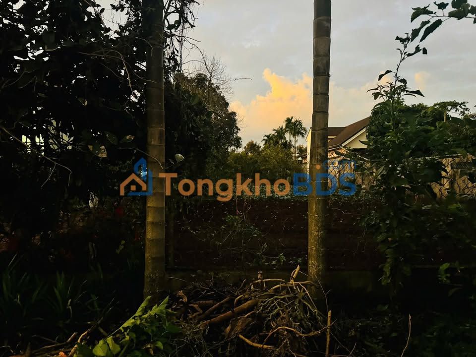 Đất nền Lê Lợi Buôn Ma Thuột 180m² 3 tỷ - Đường to ô tô