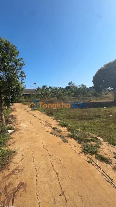 Đất nền Ea Knuốc QL26 1200m² - Tiềm năng tăng giá