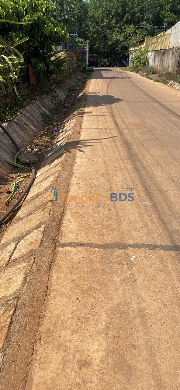 Bán Gấp Vườn Tiêu Sầu Riêng 700m² Đắk Lắk - Giá 7 Tỷ