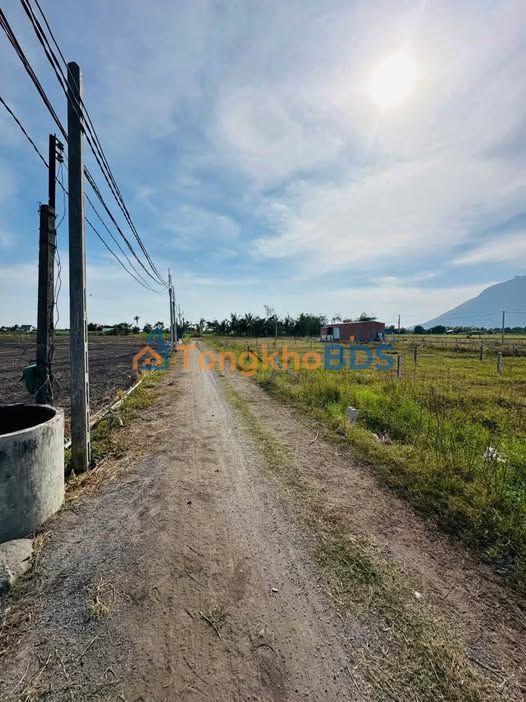 Đất thổ cư Dương Minh Châu 110m² - Sổ hồng sẵn sàng, giá chỉ 2xx triệu