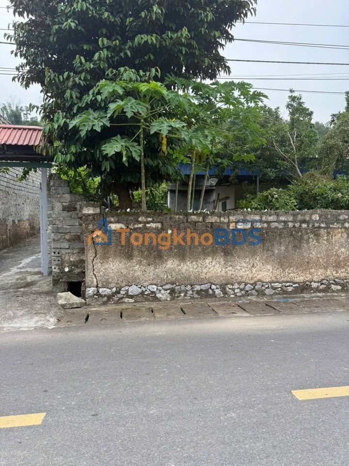 Đất nền Việt Khê 80m² - Mặt tiền 4.6m vuông vắn, hơn 1 tỷ