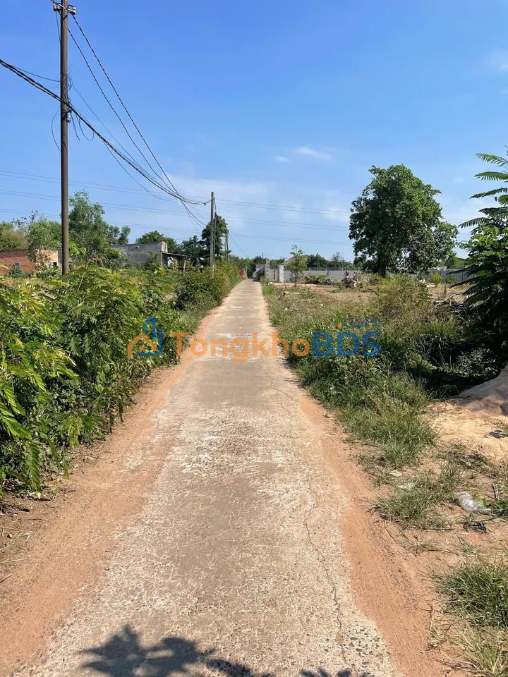 Đất nền Xuân Trường Đồng Nai 200m² 950 triệu - Sổ đỏ chính chủ