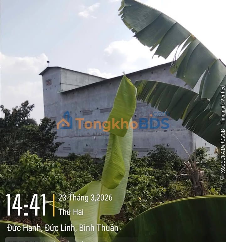 Bán Gấp Farm 7200m² Mặt Tiền Lớn, Đức Linh, Bình Thuận - Giá 1.1 Tỷ