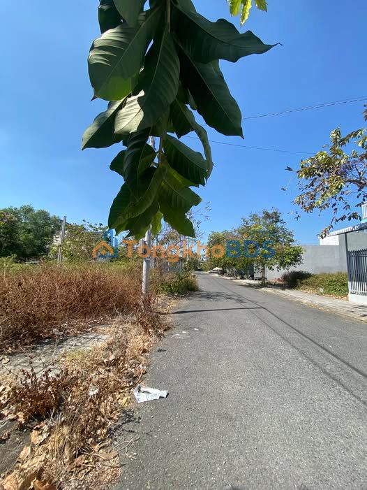 Bán Gấp 3 Nền Đất KĐT Việt Sinh, Bến Tre - 90m²/Nền, Giá 1.57 Tỷ