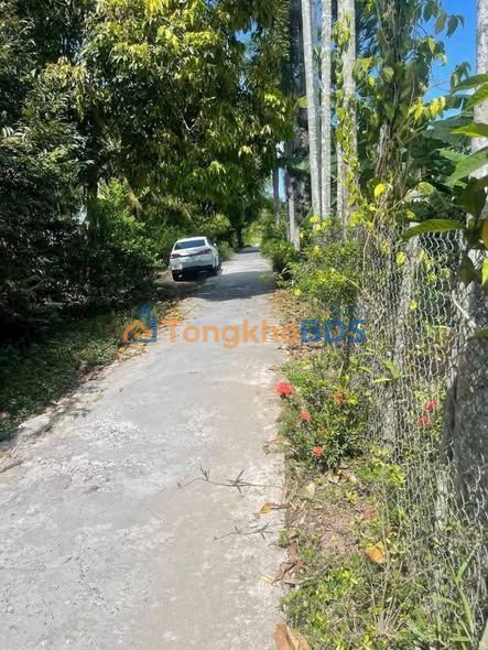 Đất nền Trường Long 87m² 450 triệu - Sổ đỏ chính chủ