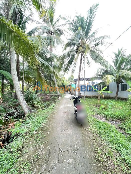 Đất nền Trà Nóc Bình Thủy 301m² 700-799 triệu - Sổ đỏ