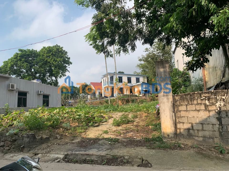 Đất Nền Phú Thọ 365m² - Sổ Đỏ Sẵn Sàng, Giá Chỉ Từ 1.5 Tỷ