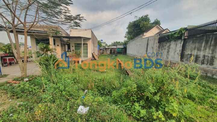 Đất Thổ Cư Sổ Hồng Riêng 175m² Mặt Tiền Đường Nhựa 10m - Đức Hòa