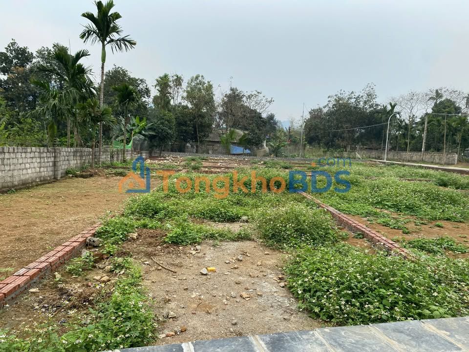 Đất Nền An Phú Mỹ Đức 96m² - Sổ Đỏ Thổ Cư, Ngay KCN, Gần Hồ Đá Bạc