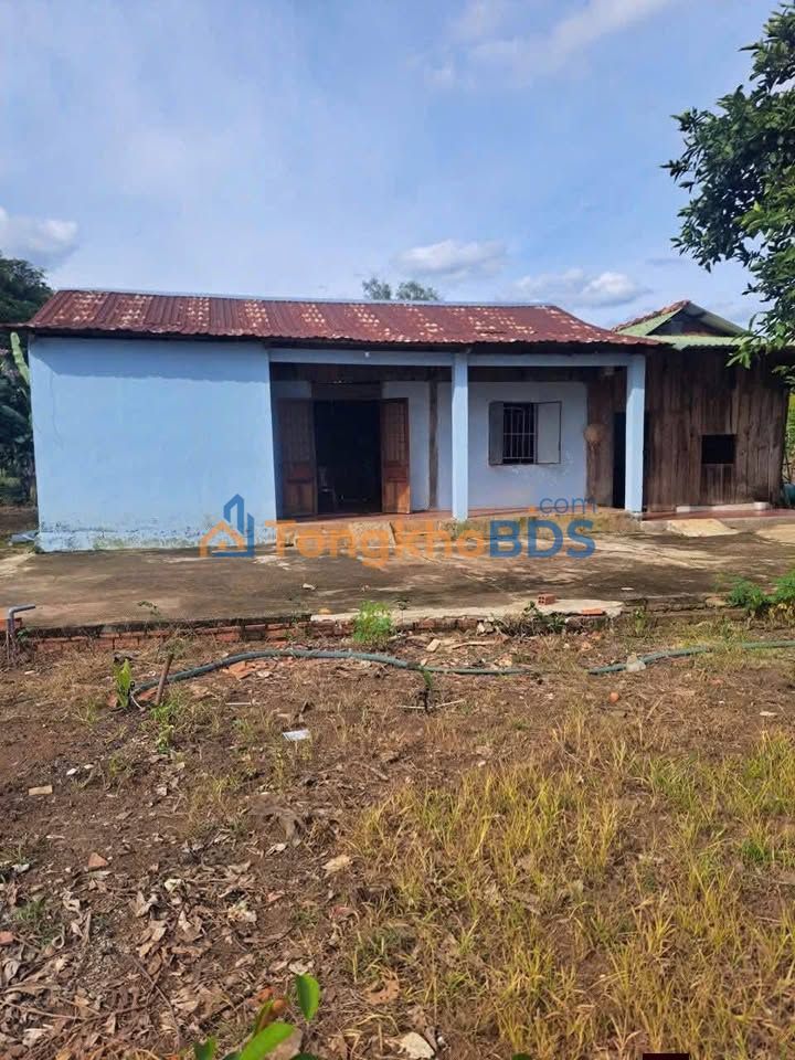 Bán Gấp Nhà Vườn 3700m² Sổ Hồng Tại Bù Đốp, Bình Phước - Giá 900 Triệu