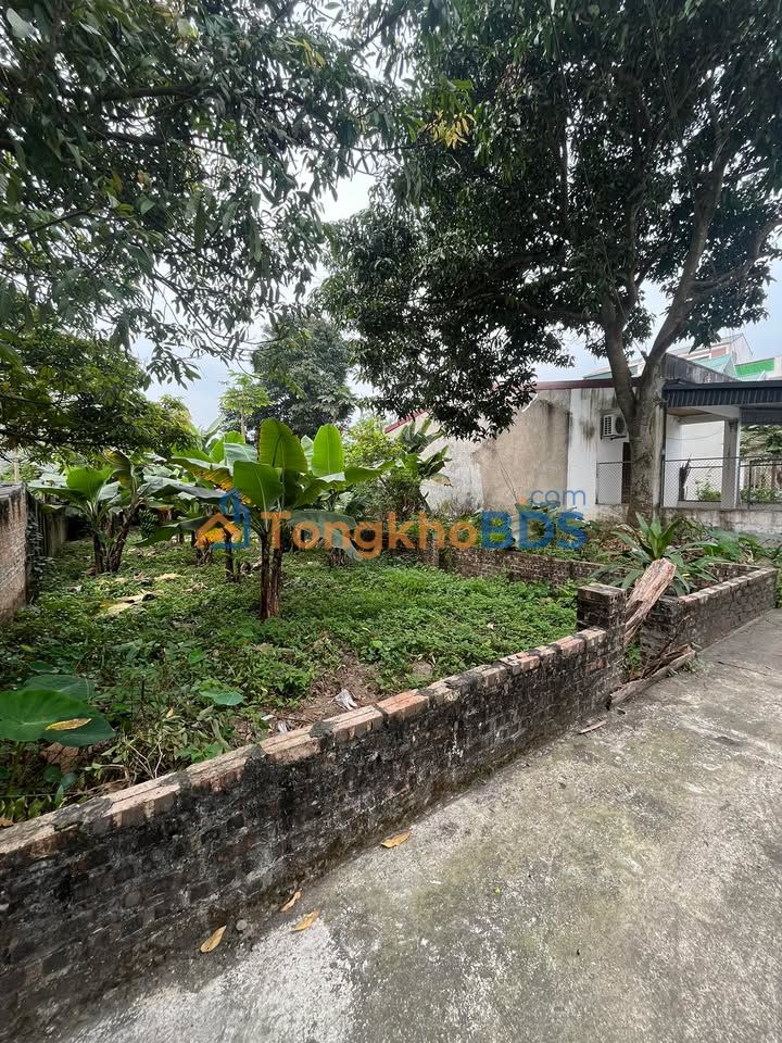 Đất nền Thị trấn Cẩm Khê 150m² - Sổ đỏ sẵn, giá 1 tỷ