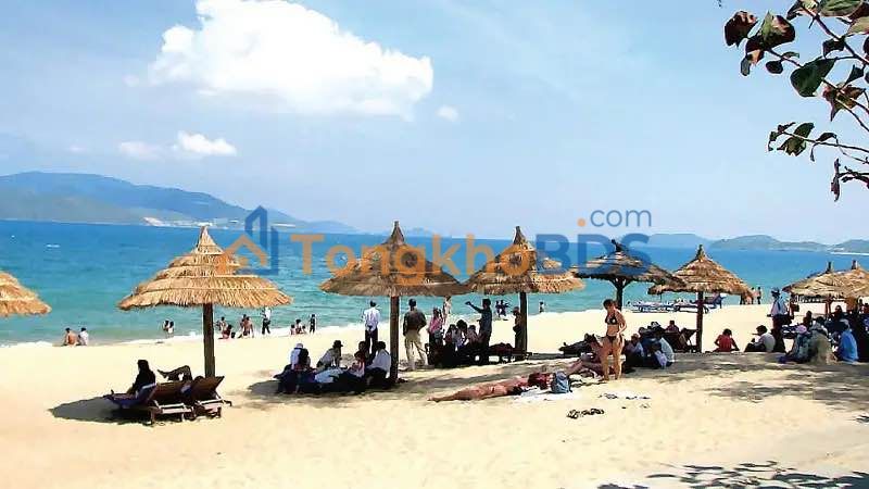 Đất nền Sơn Trà Đà Nẵng 340m² 42,5 tỷ - Sổ đỏ chính chủ