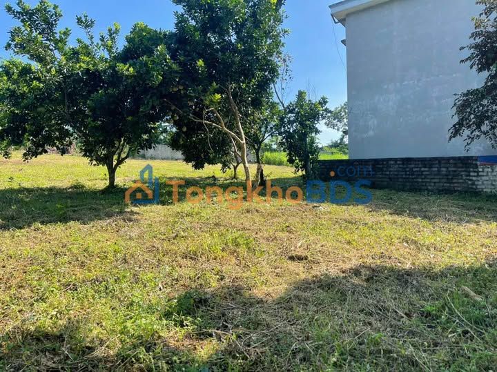 Không thể hoàn thành