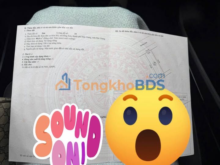 Bán Gấp Đất Nền 80m² Mặt Tiền 5m Đường Đồng Sơn, Bắc Giang - Giá Tốt