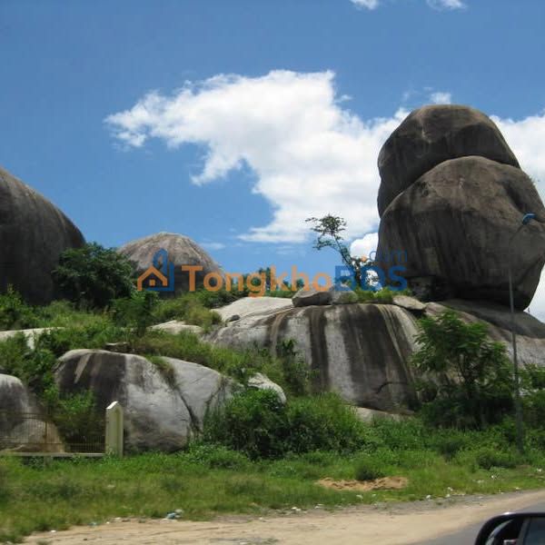 Đất Vườn Phú Hòa Đồng Nai 1600m² Sổ Hồng Riêng - Giá Đầu Tư 1.4 Tỷ