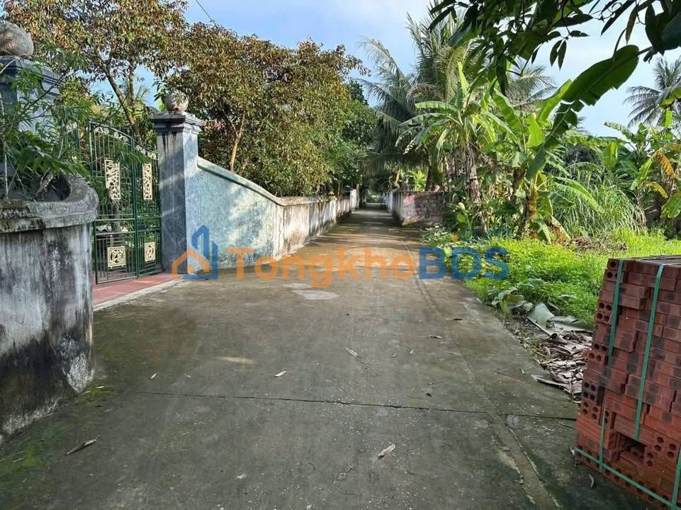 Đất Nền Hậu Lộc, Thanh Hóa 604m² - Sẵn Sàng Chia Lô, Mặt Tiền Rộng