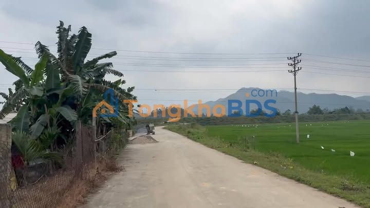 Đất nền Cẩm Khê 600m² - Mặt đường bê tông 30m, ONT, Sẵn sổ hồng