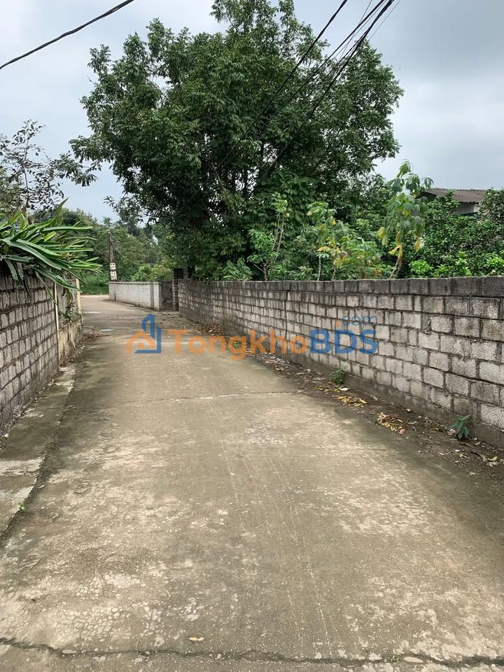 Đất nền 120m² Đồng Hỷ, Thái Nguyên - Sổ TC, giá 990 triệu