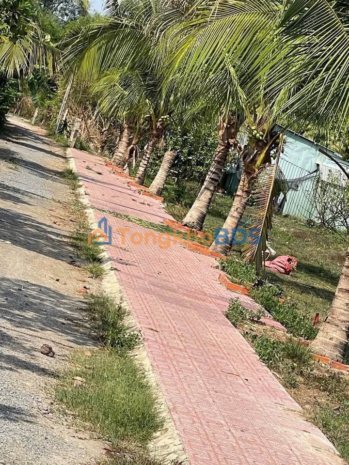 Đất nền Ấp 3 Bàu Đồn 199m² 550 triệu - Sổ đỏ chính chủ