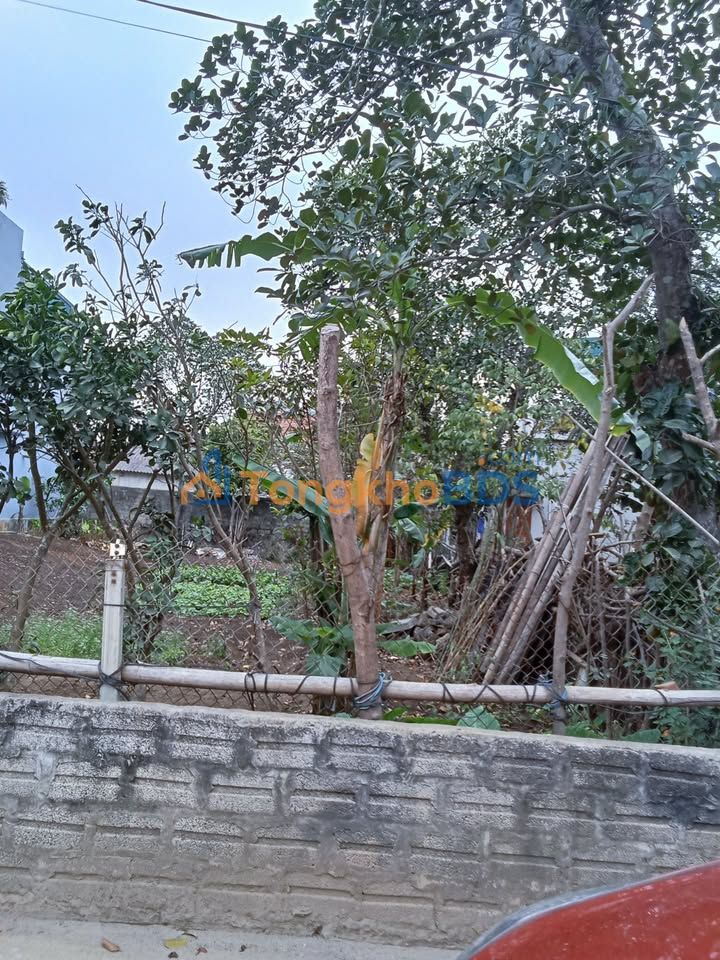 Đất Nền Quang Sơn 100m² - Sổ Đỏ Chính Chủ Giá 700 Triệu