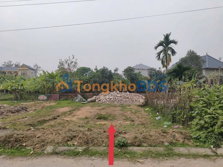 Đất thổ cư 100m² Đạo Đức, Bình Xuyên - Sổ đỏ sẵn, mặt tiền 6m