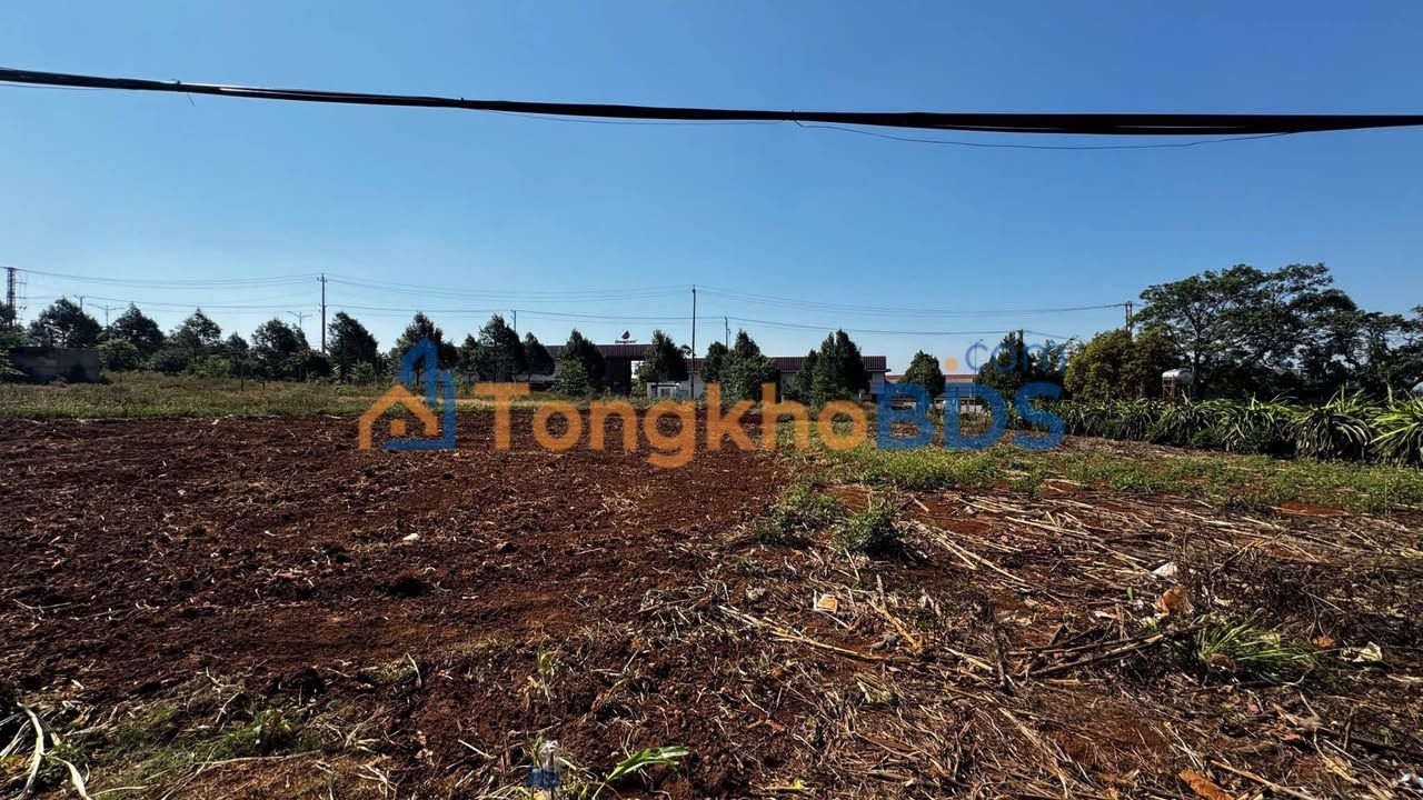 Đất vườn Tân Thành 284m² 5,2 tỷ - Đất thổ cư 100%