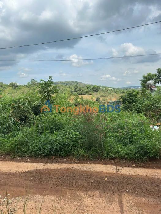 Bán Gấp Đất Nền Lâm Hà 234m² Sổ Hồng Riêng Giá Tốt