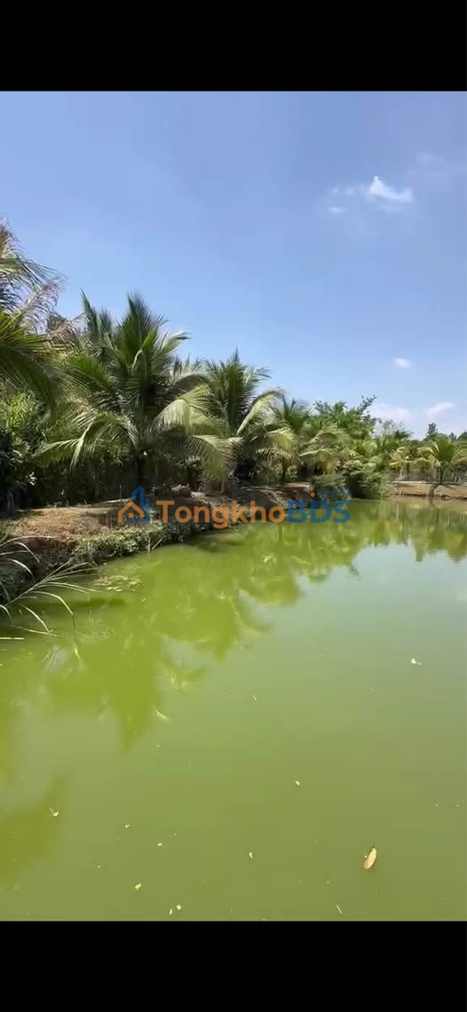 Bán Gấp Nhà Vườn Nghỉ Dưỡng 7200m² Sổ Hồng Riêng Tại Đức Trọng, Lâm Đồng