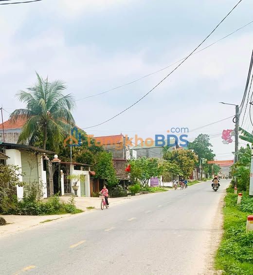 Đất Mặt Tiền TL 306 Lập Thạch - 130m² Thổ Cư, Kinh Doanh Đa Ngành