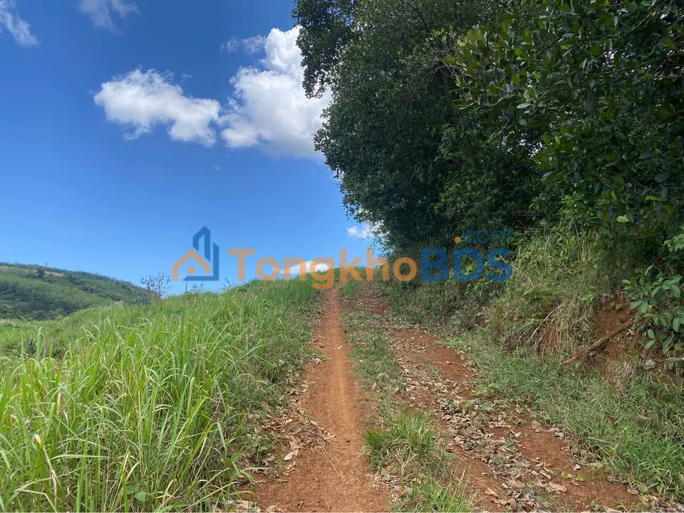 Đất nền Thị trấn Kiến Đức 2.4 tỷ/2.4ha - Đường to ô tô