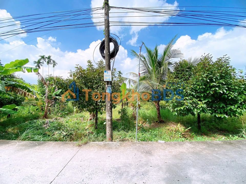 Đất nền Nhơn Nghĩa Phong Điền 380m² 1.29 tỷ - Sổ đỏ chính chủ