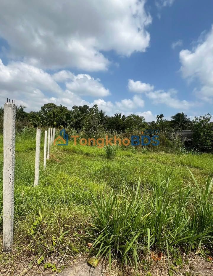 Bán đất nền Long Hoà, Cần Thơ 100m² - Sổ ODT, Gần Aeon Mall, Giá 1.2 tỷ