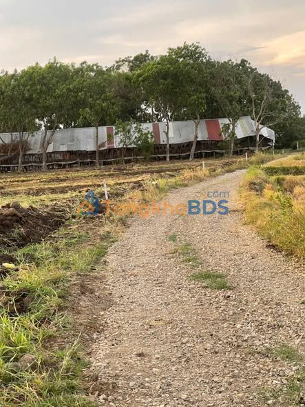 Farm Đá Bạc Châu Đức 10.000m² giá thỏa thuận - Sổ đỏ chính chủ vườn sinh thái