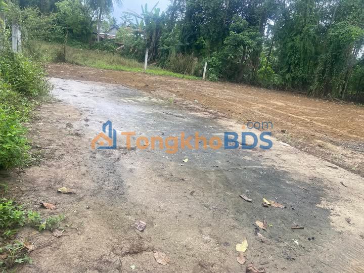 Đất Nền An Tân, Đà Nẵng - 120m², Ngang 8m, Sổ Hồng Sẵn Sàng