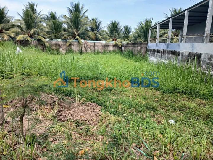 Đất nền mặt tiền Trần Thị Thơm, Gò Công Tây - 128m² thổ cư, giá 1.1 tỷ