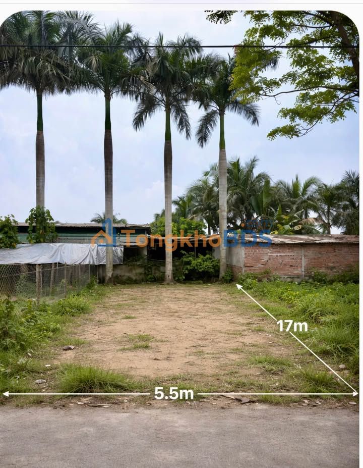 Đất nền Nam Lý Đồng Hới 94m² 1 tỷ - Hạ tầng hoàn thiện